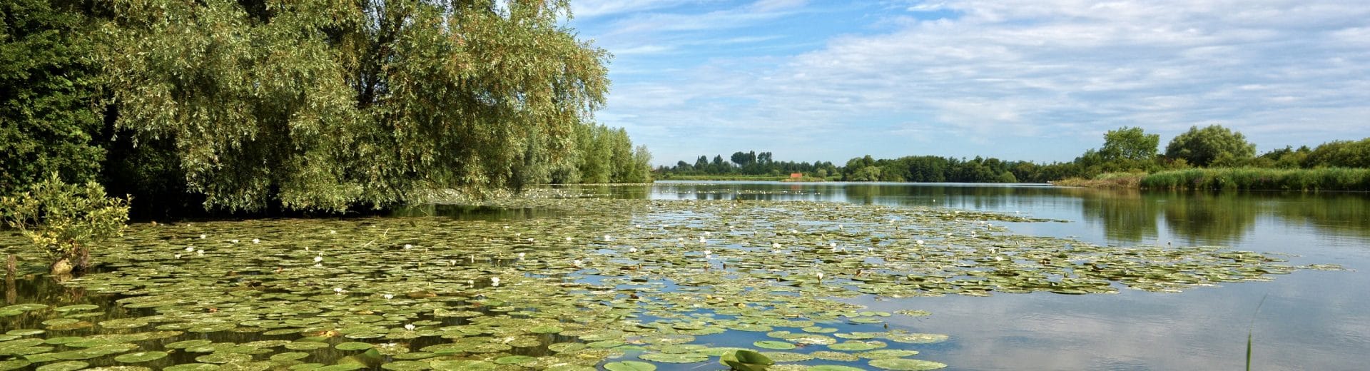 Clairmarais Marais audomarois ©Y CADART CD62