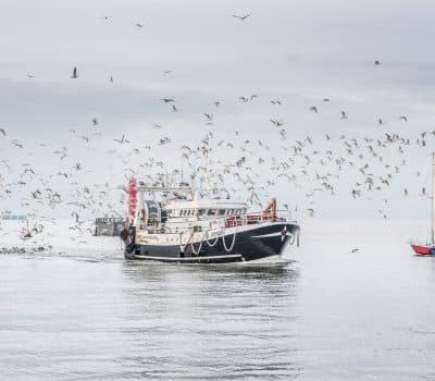  Image - Dossier de presse 2025 de Pas-de-Calais Tourisme 